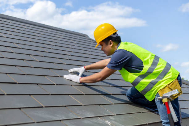 Roof Gutter Cleaning in North Ogden, UT