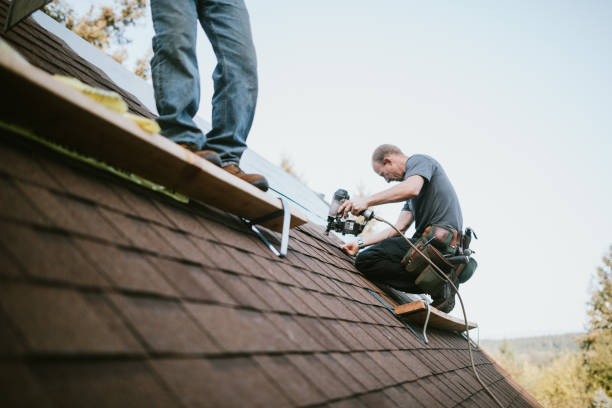 Quick and Trustworthy Emergency Roof Repair Services in North Ogden, UT